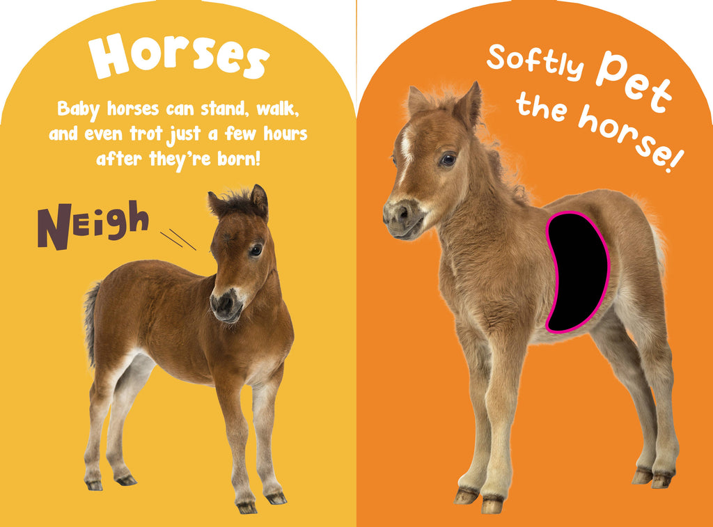 Petting Zoo Animals Touch and Feel board book