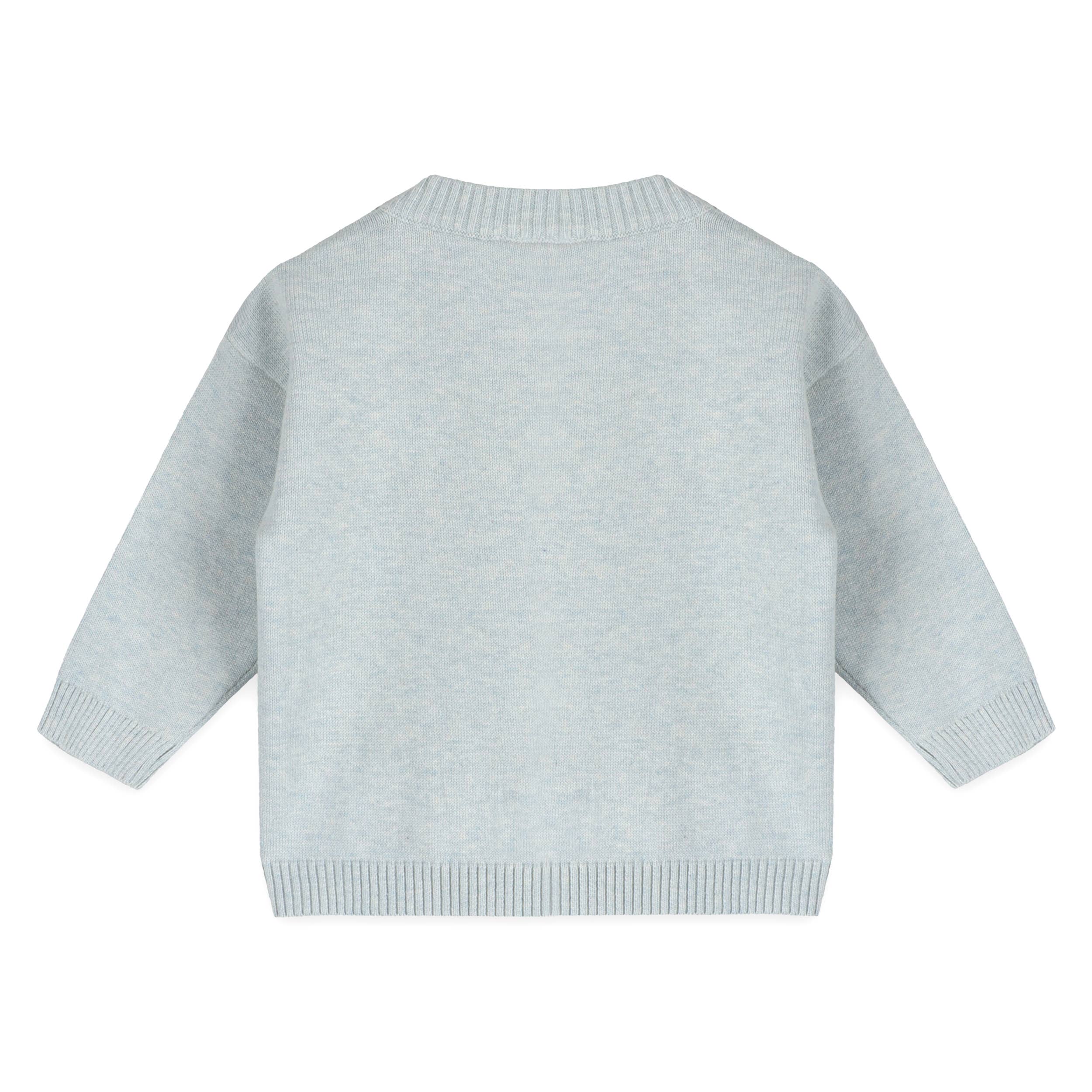 Airplane Organic Cotton Knit Baby Knit Pullover & Pant Set