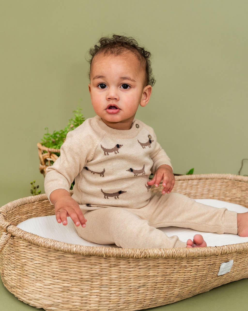 Doxie Dog Jacquard Knit Baby Raglan Pullover (Organic): Oat Heather