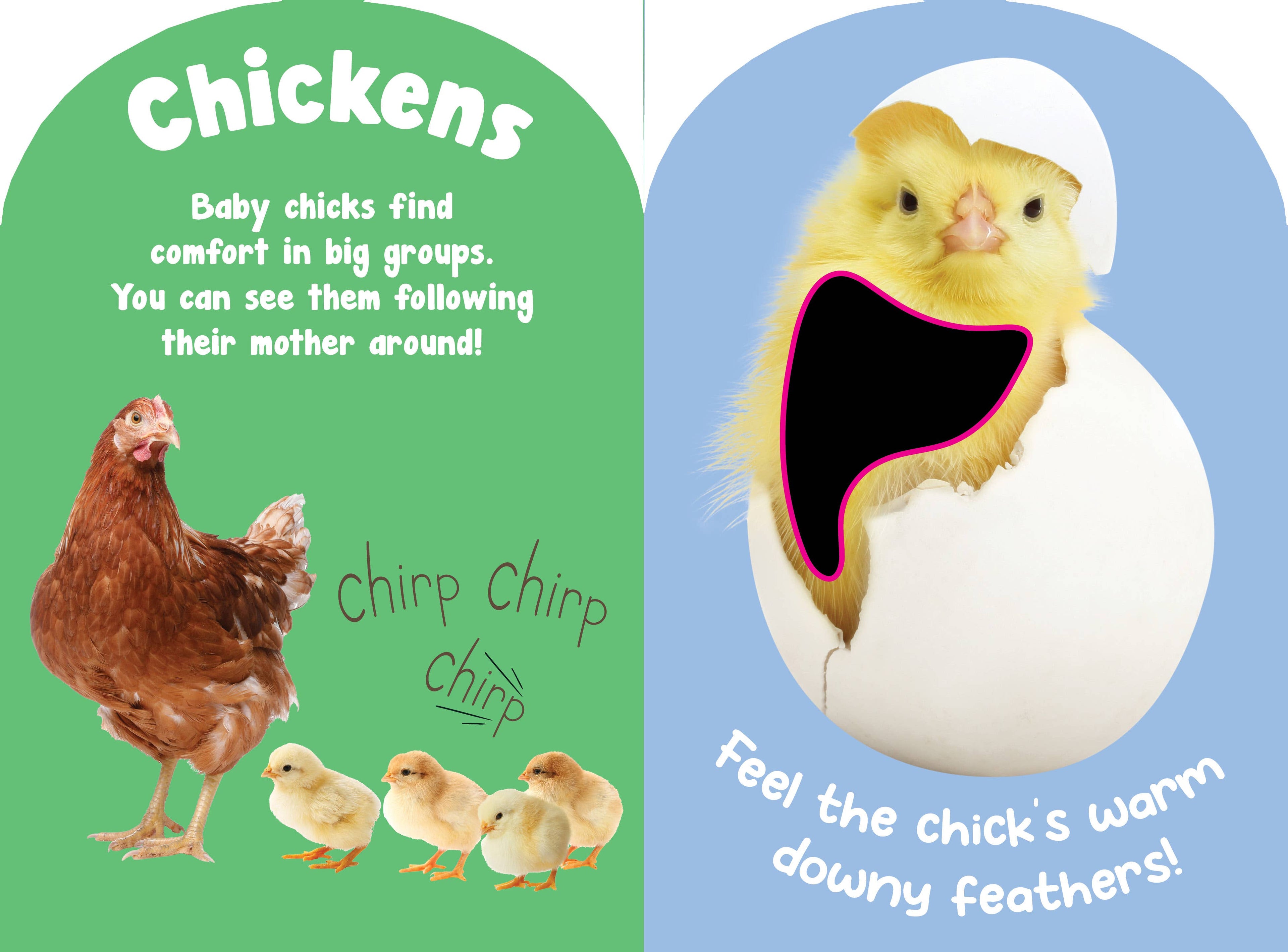 Petting Zoo Animals Touch and Feel board book