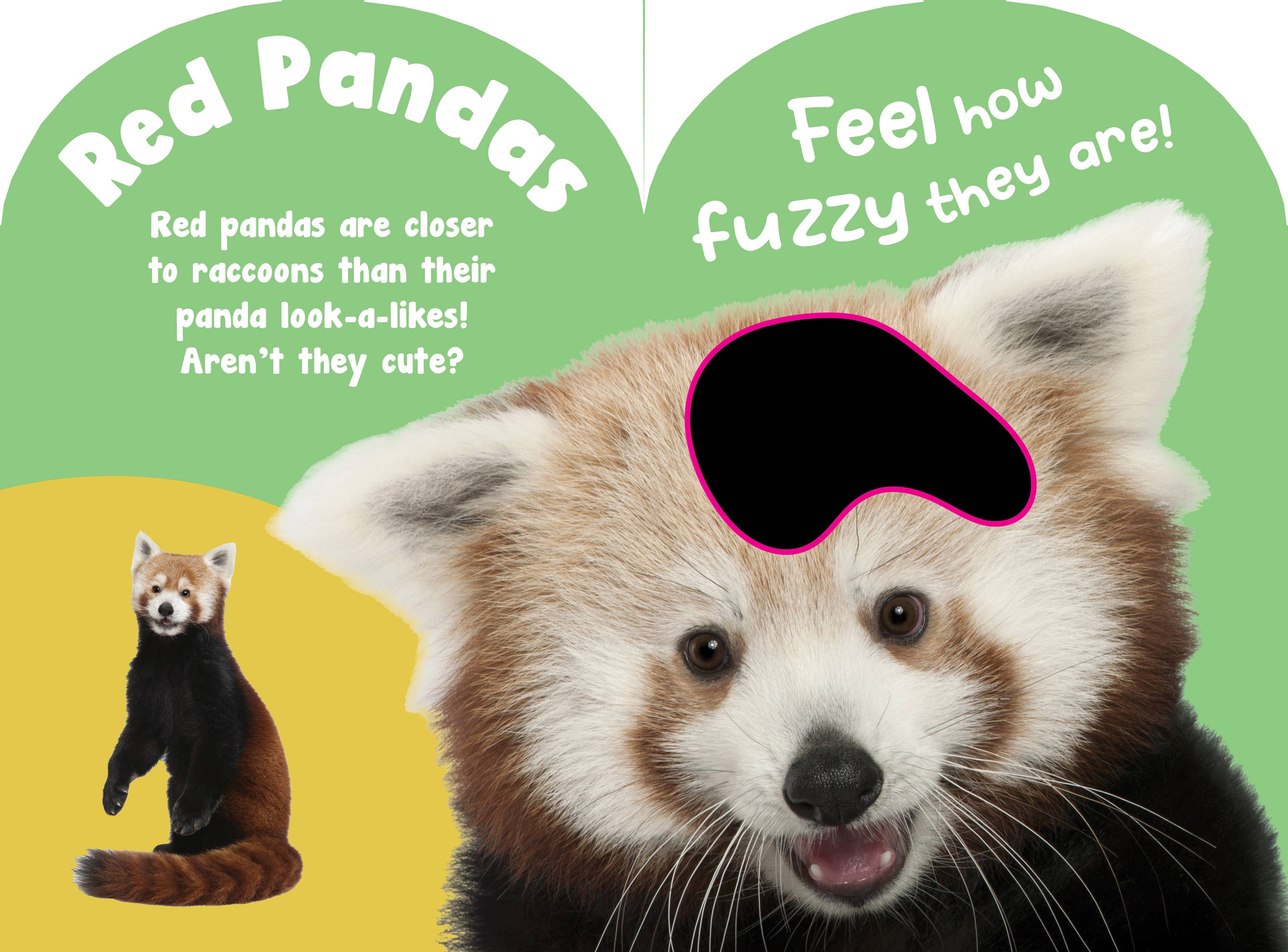 Baby Wild Animals Touch and Feel Board Book