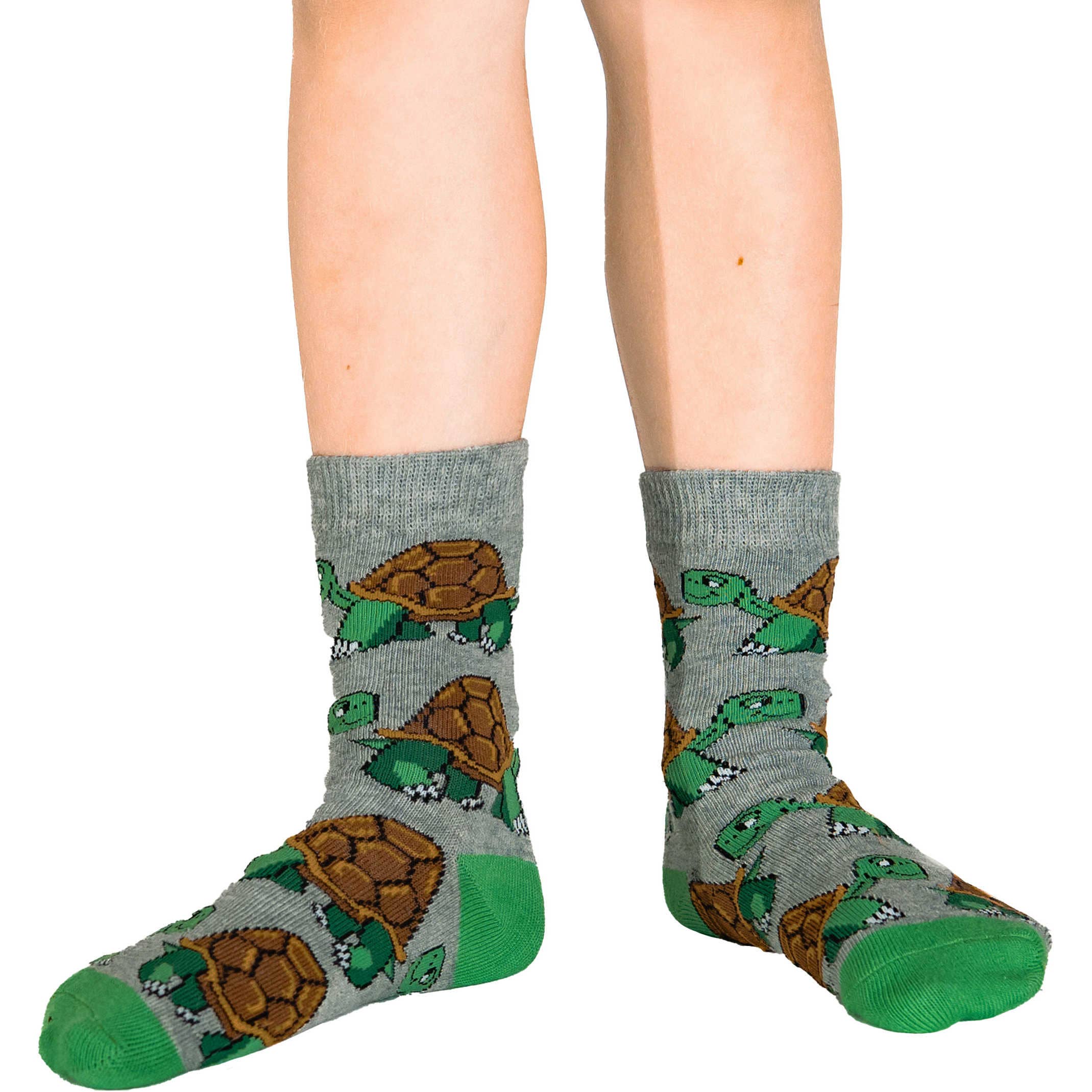 Cockapoo Pilot, Squirrels and Tortoises Kids Socks / 3-Pack