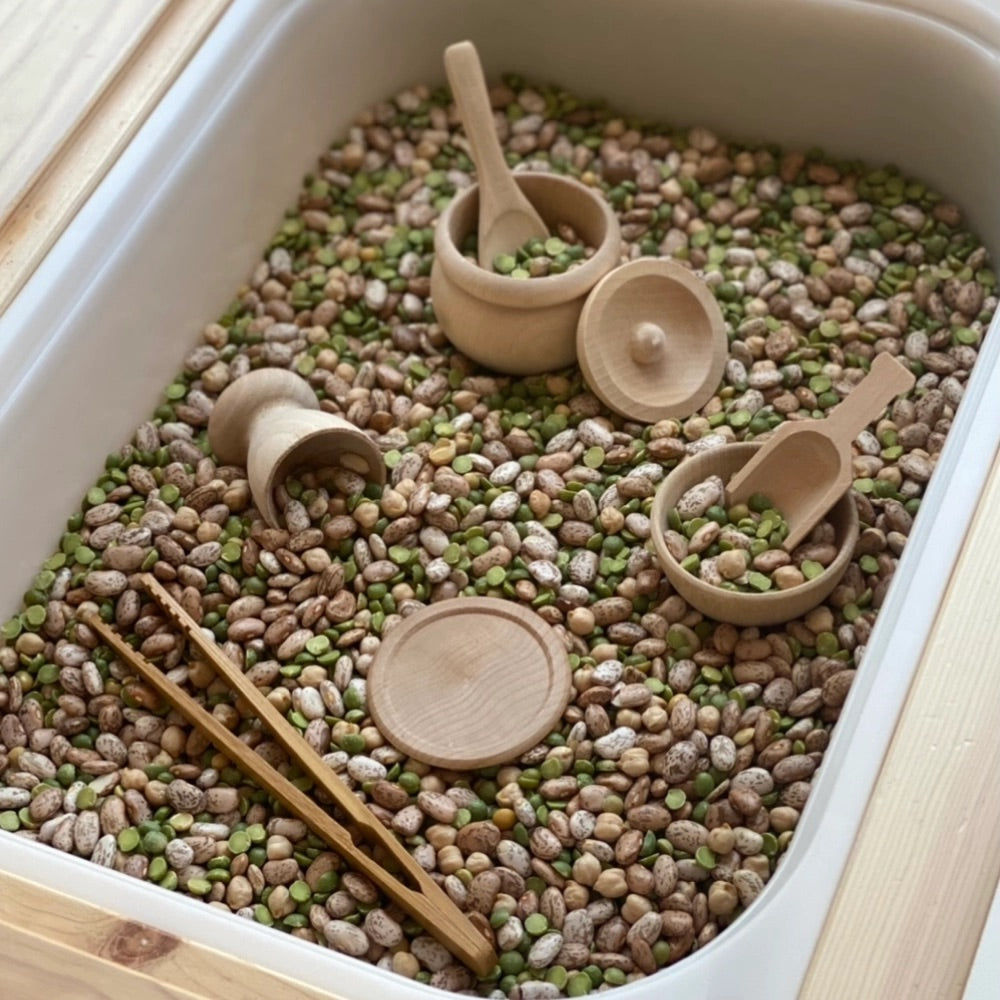 Sensory Bin Toolkit