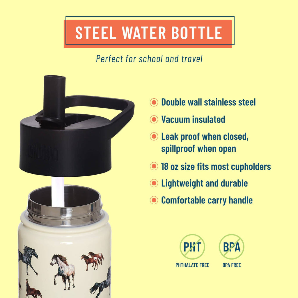 Bouteille d'eau en acier Horse Dreams de 18 oz
