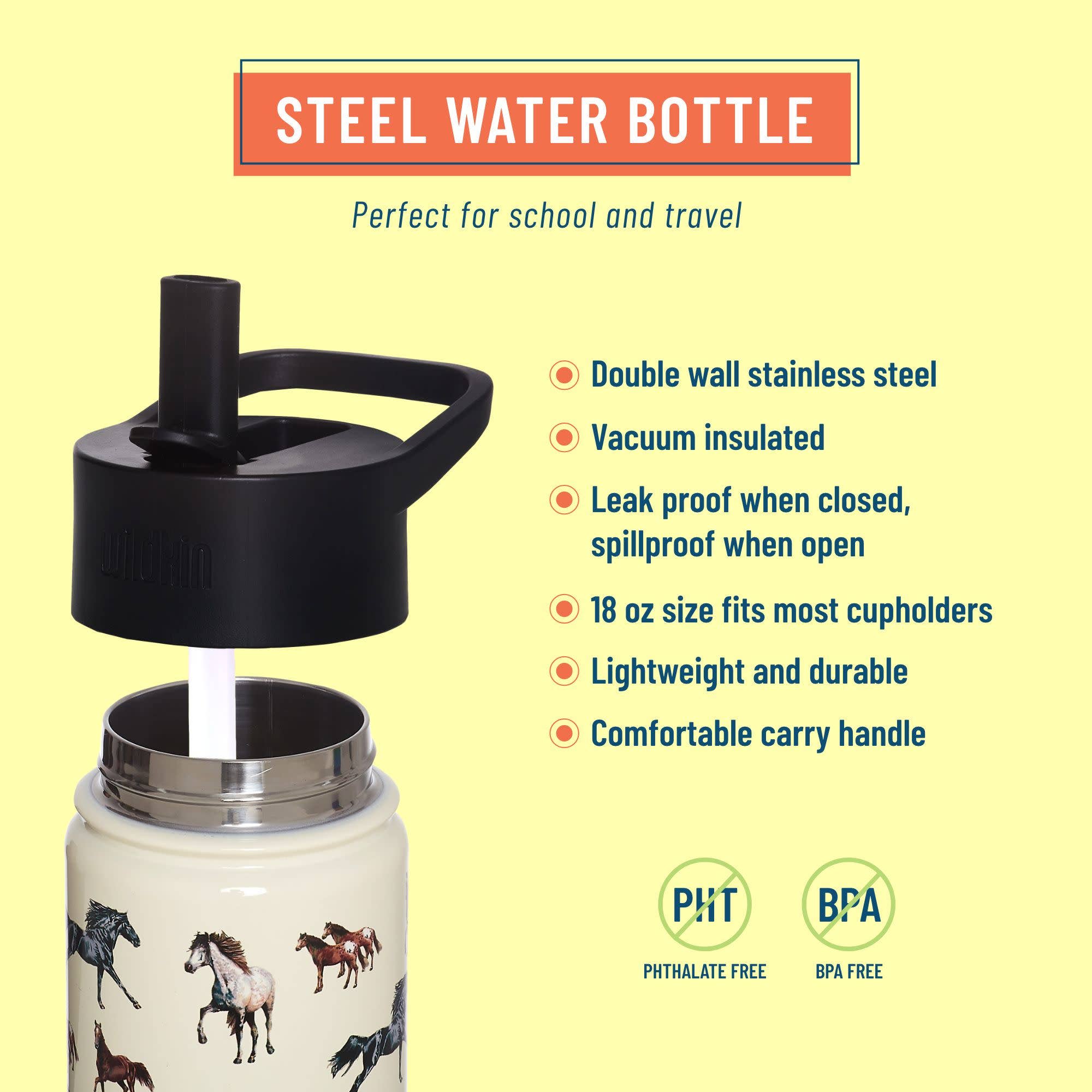 Bouteille d'eau en acier Horse Dreams de 18 oz