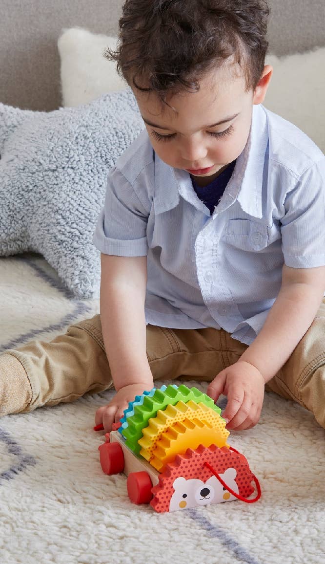 Rainbow Hedgehog Wooden Pull Toy