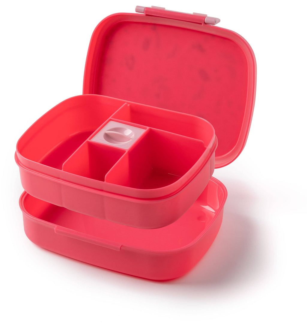 Bento Box with Removable Tray: Transportation