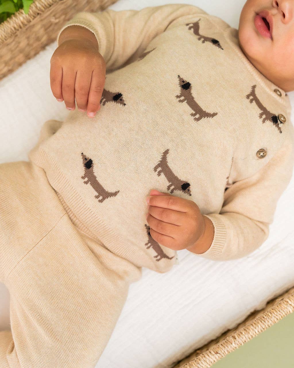 Doxie Dog Jacquard Knit Baby Raglan Pullover (Organic): Oat Heather