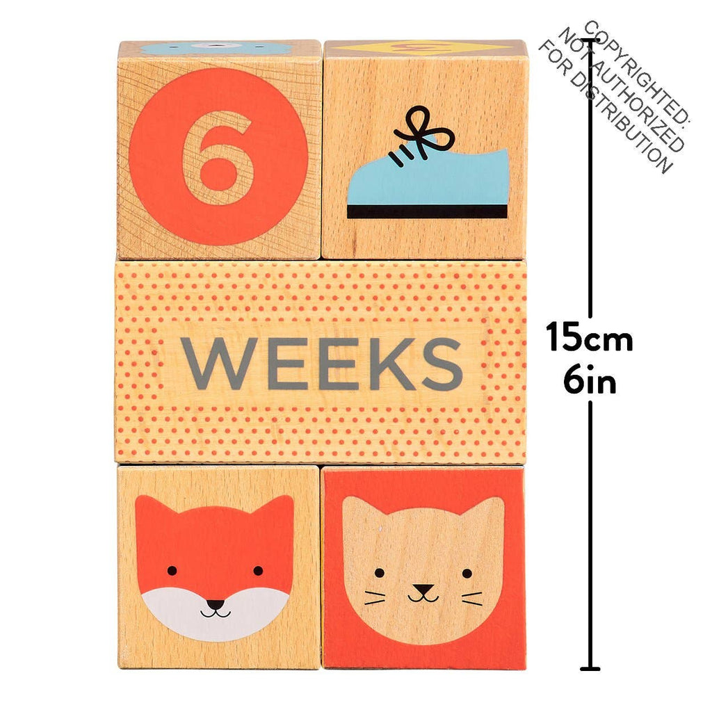 Wooden Milestone Baby Blocks