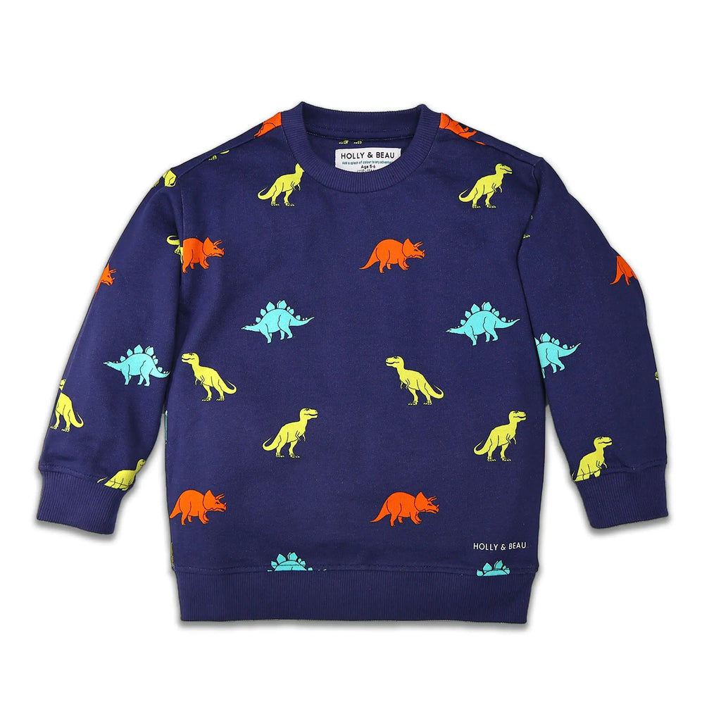 Organic Cotton Dinosaur Kids Sweatshirt