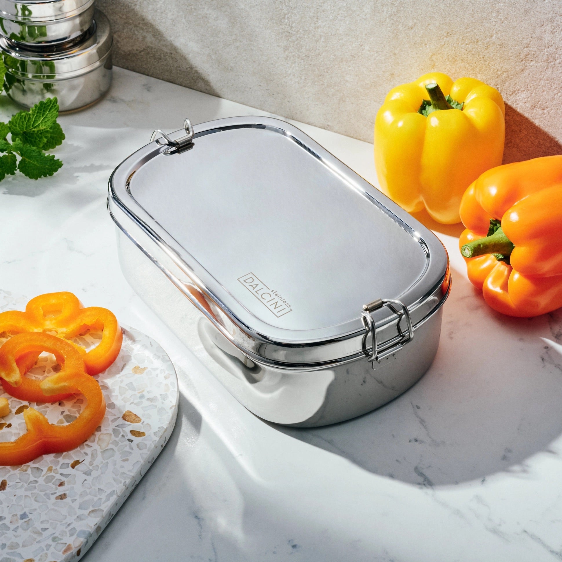 Large Stainless Container