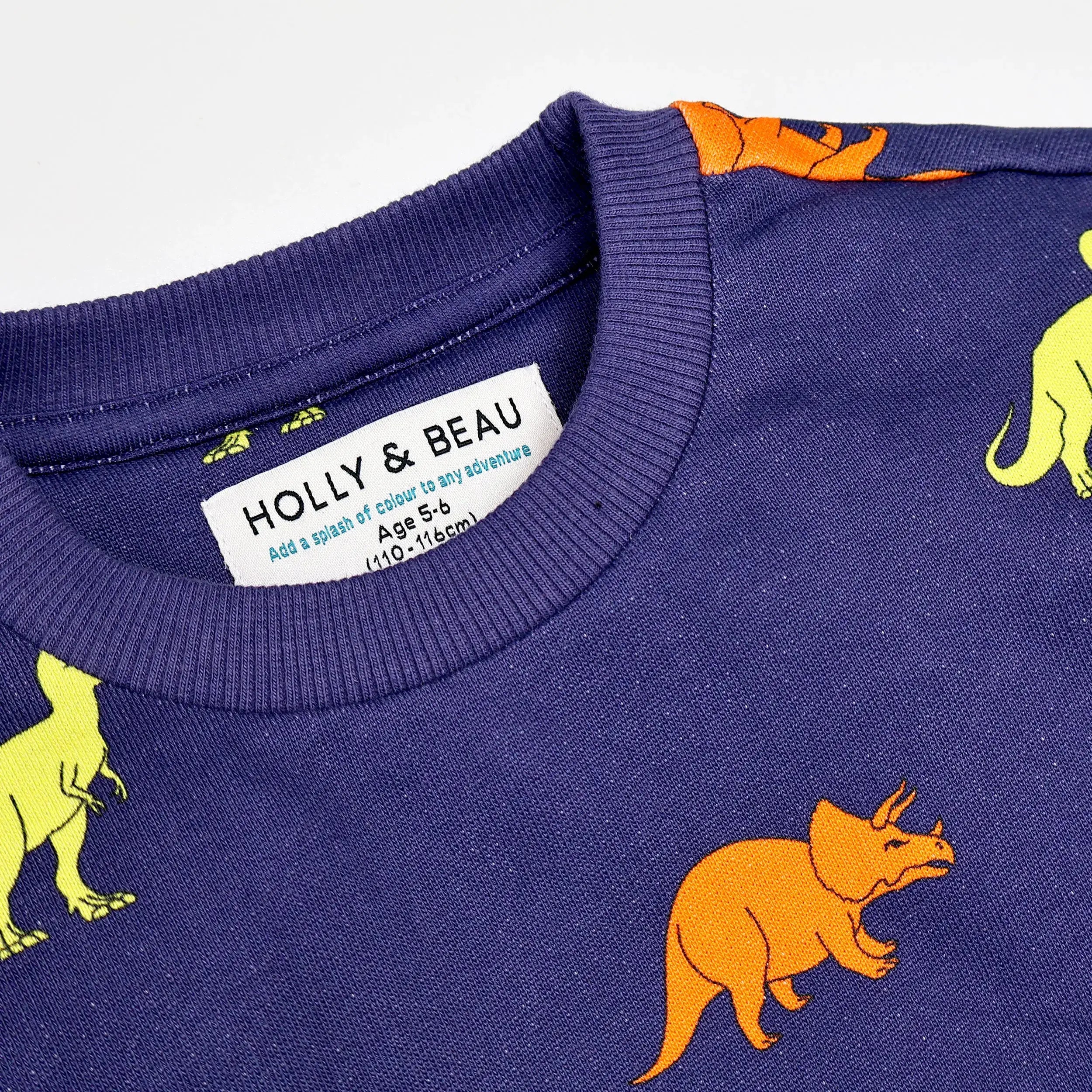 Organic Cotton Dinosaur Kids Sweatshirt