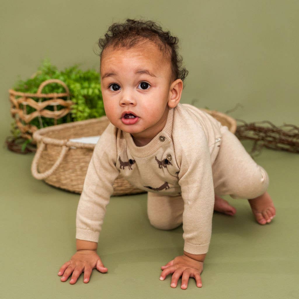 Doxie Dog Jacquard Knit Baby Raglan Pullover (Organic): Oat Heather