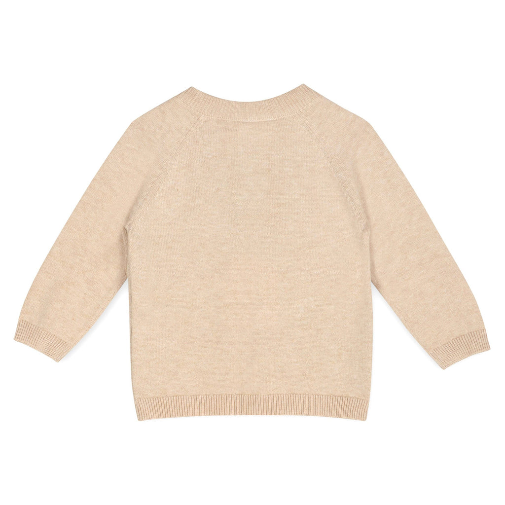 Doxie Dog Jacquard Knit Baby Raglan Pullover (Organic): Oat Heather