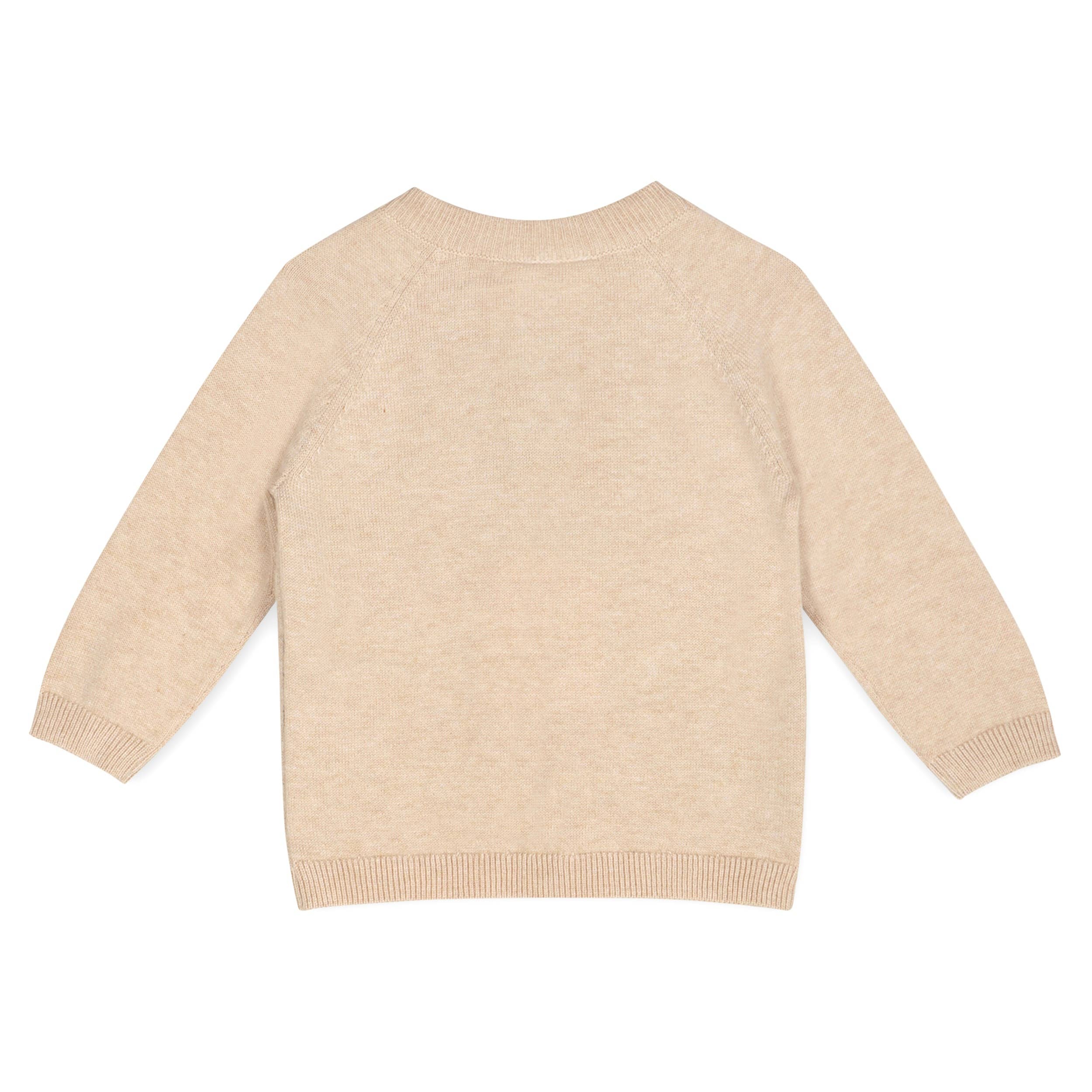 Doxie Dog Jacquard Knit Baby Raglan Pullover (Organic): Oat Heather