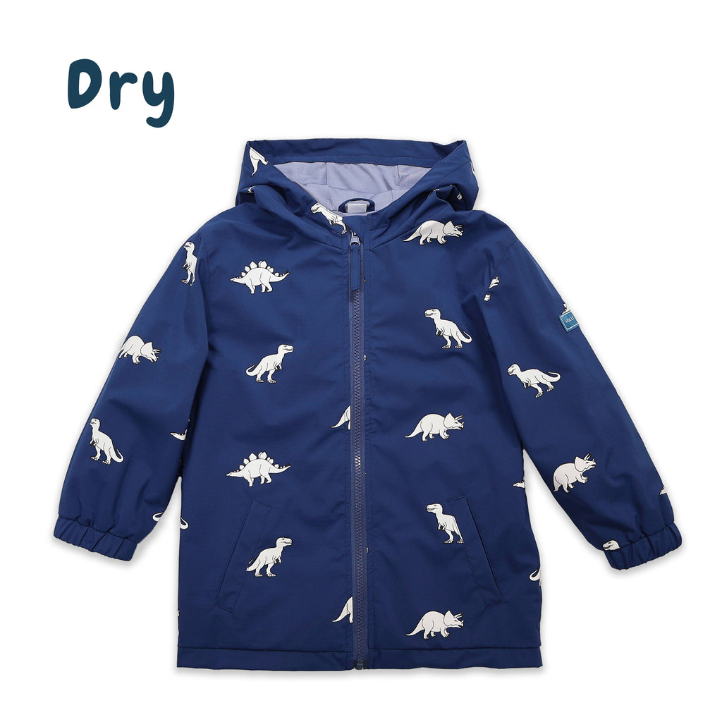 Dinosaur Color Changing Kids Raincoat