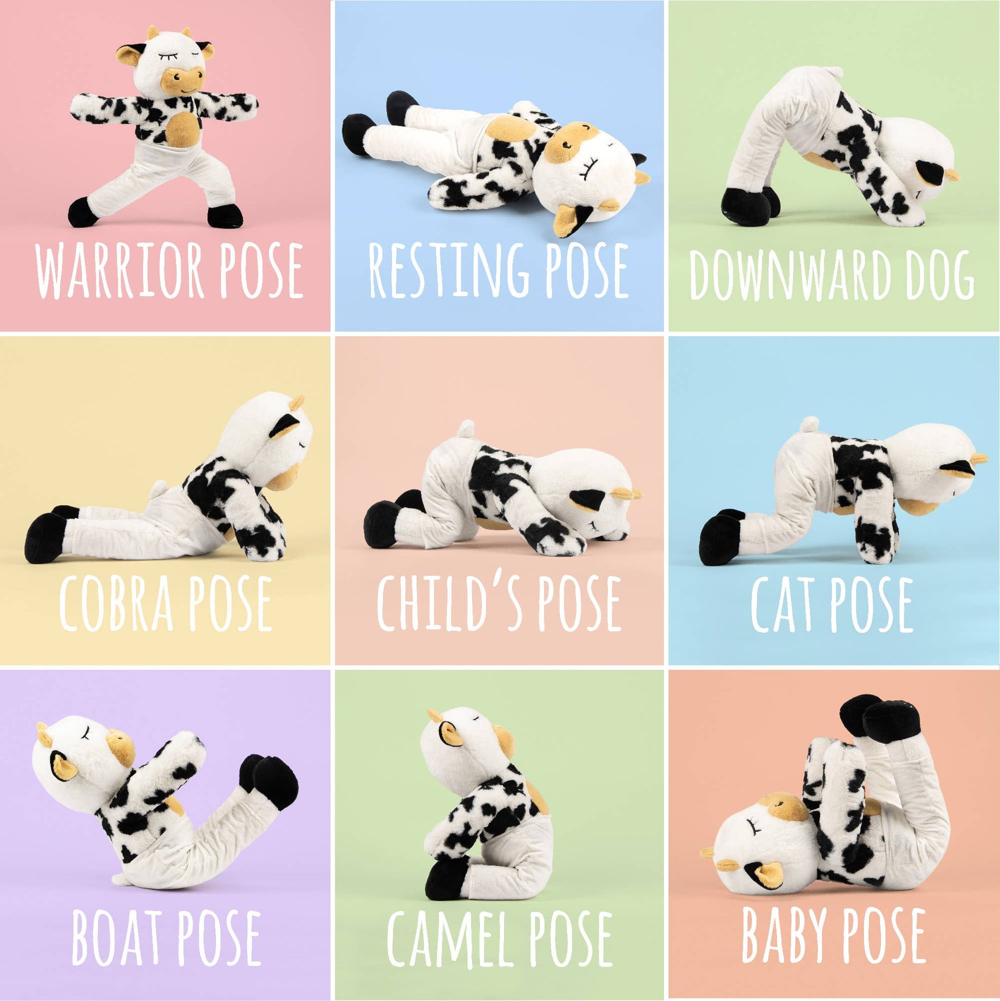 Miss Molly Myga - The Moo-Ditating Cow