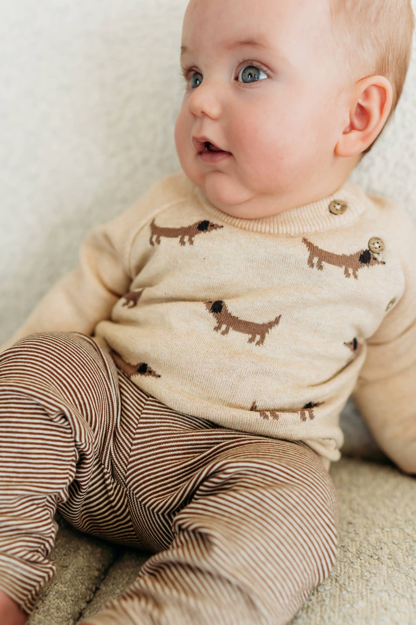 Doxie Dog Jacquard Knit Baby Raglan Pullover (Organic): Oat Heather