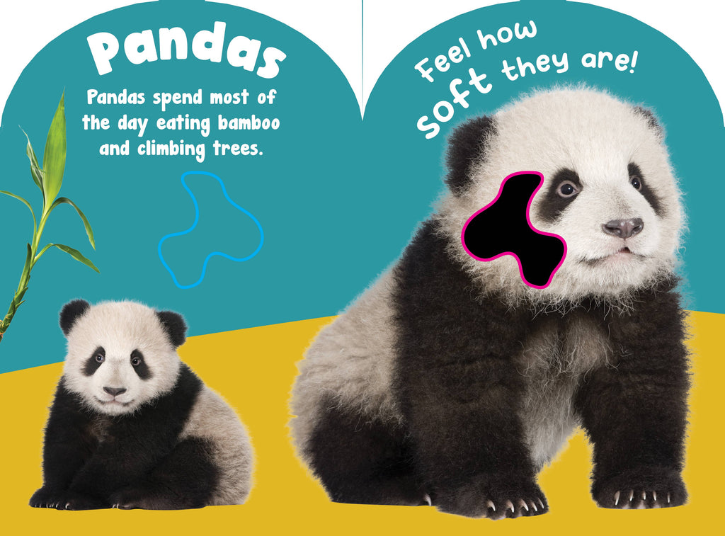 Baby Wild Animals Touch and Feel Board Book
