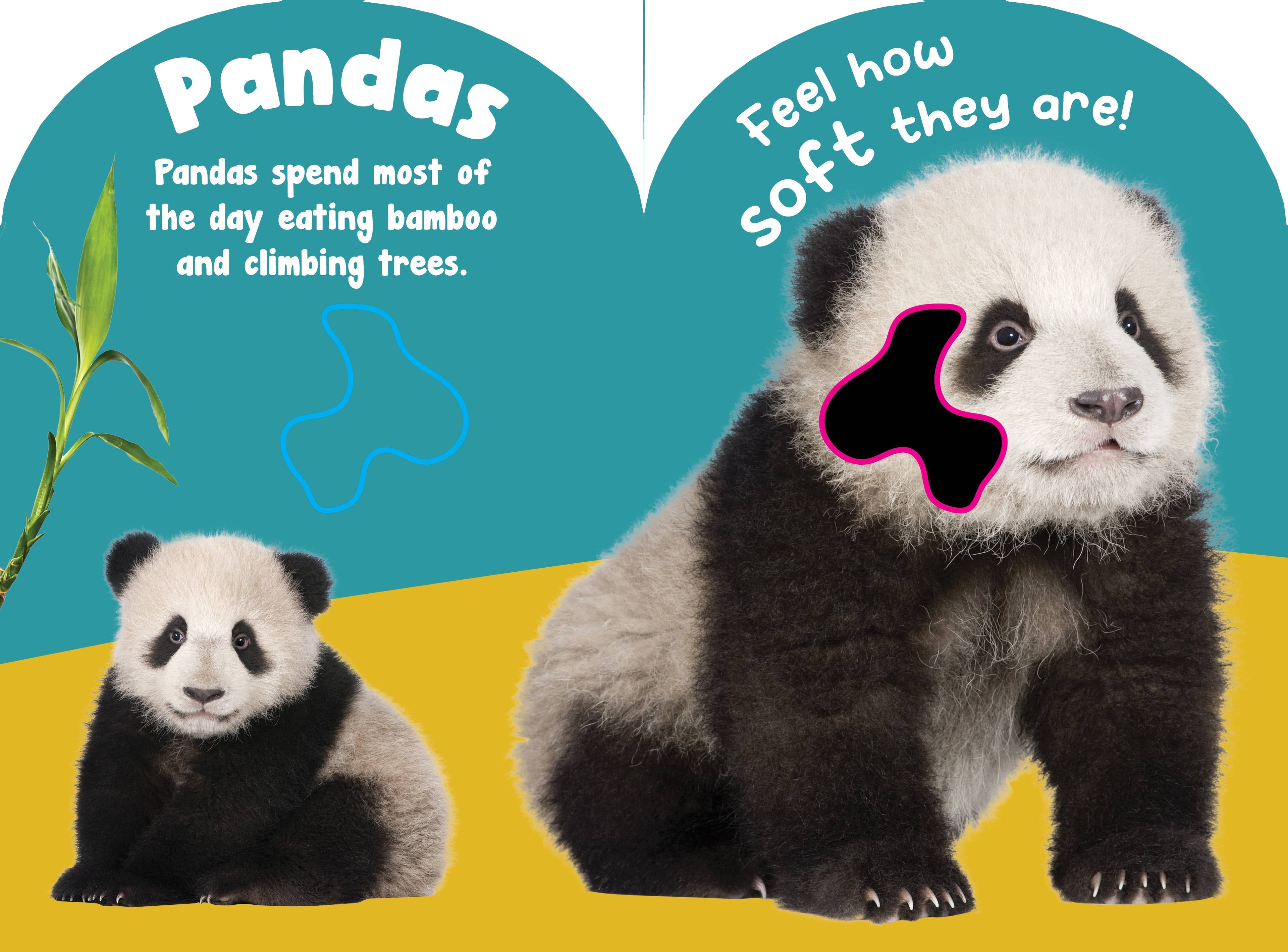 Baby Wild Animals Touch and Feel Board Book