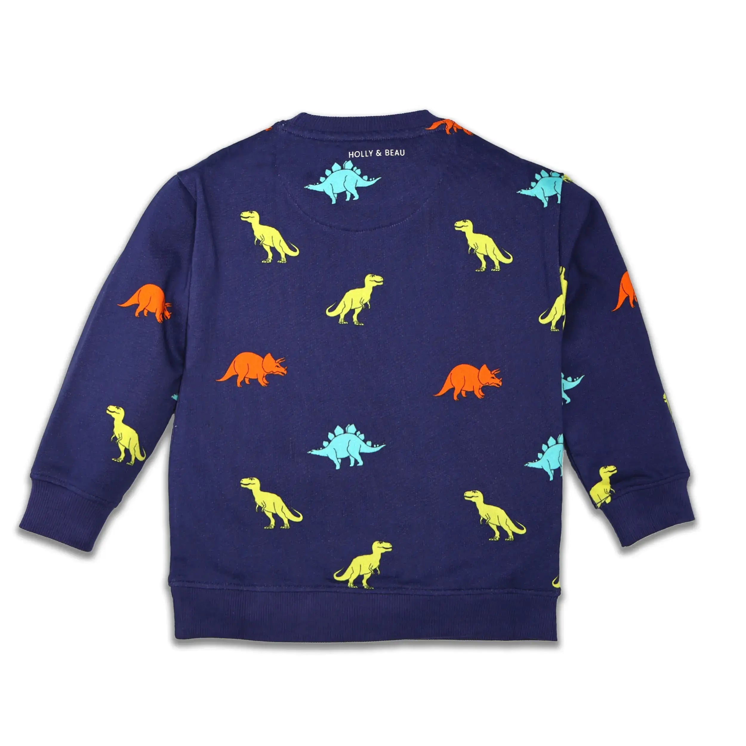Organic Cotton Dinosaur Kids Sweatshirt
