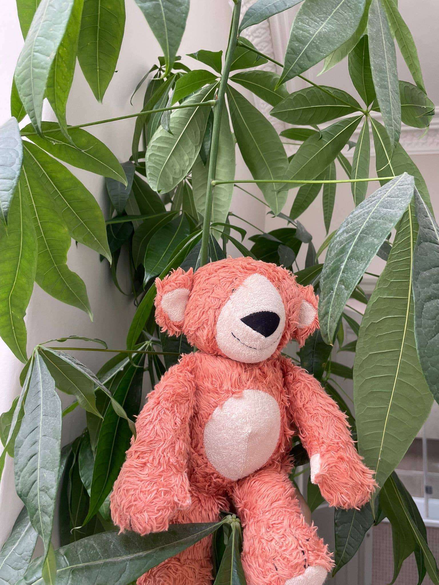 Bon Bon Teddy Bear Cuddly Toy in Soft Organic Cotton