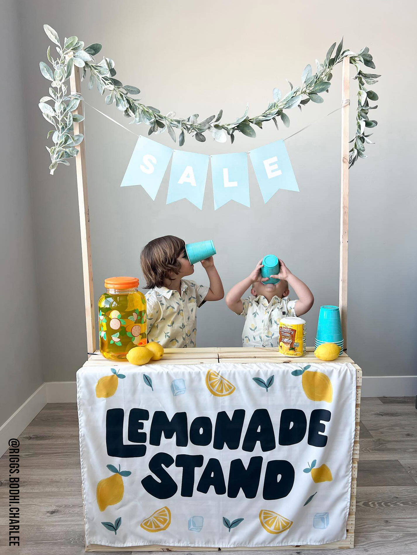 Lemonade Stand Banner - Kids Summer Pretend Play Wall Decor: Small 17x13"