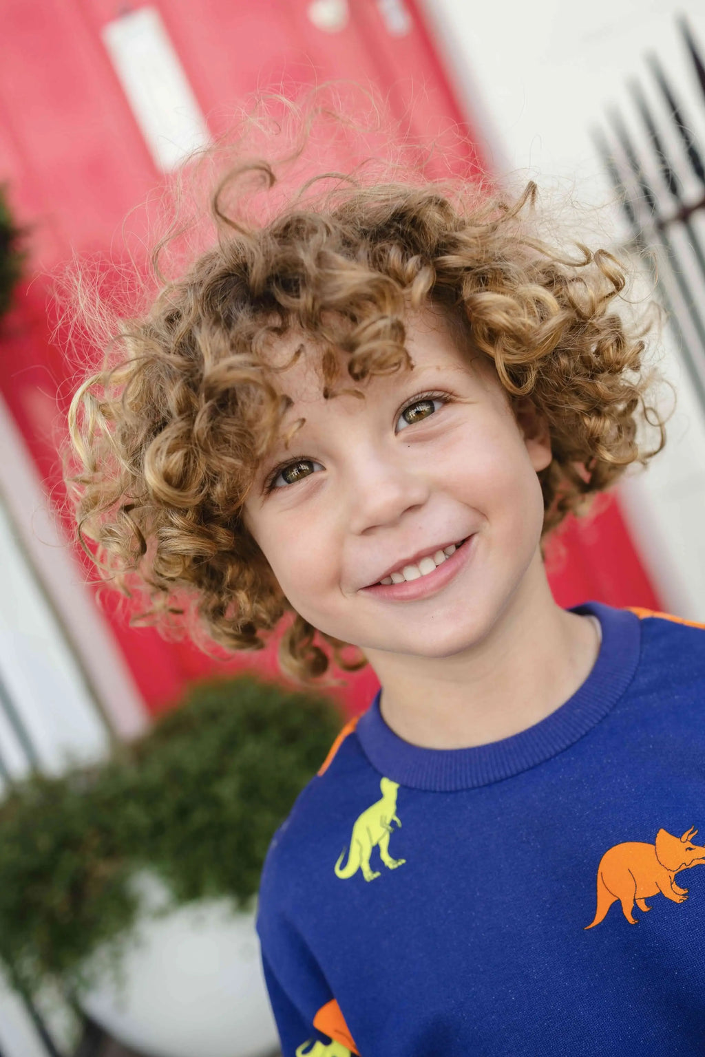 Organic Cotton Dinosaur Kids Sweatshirt