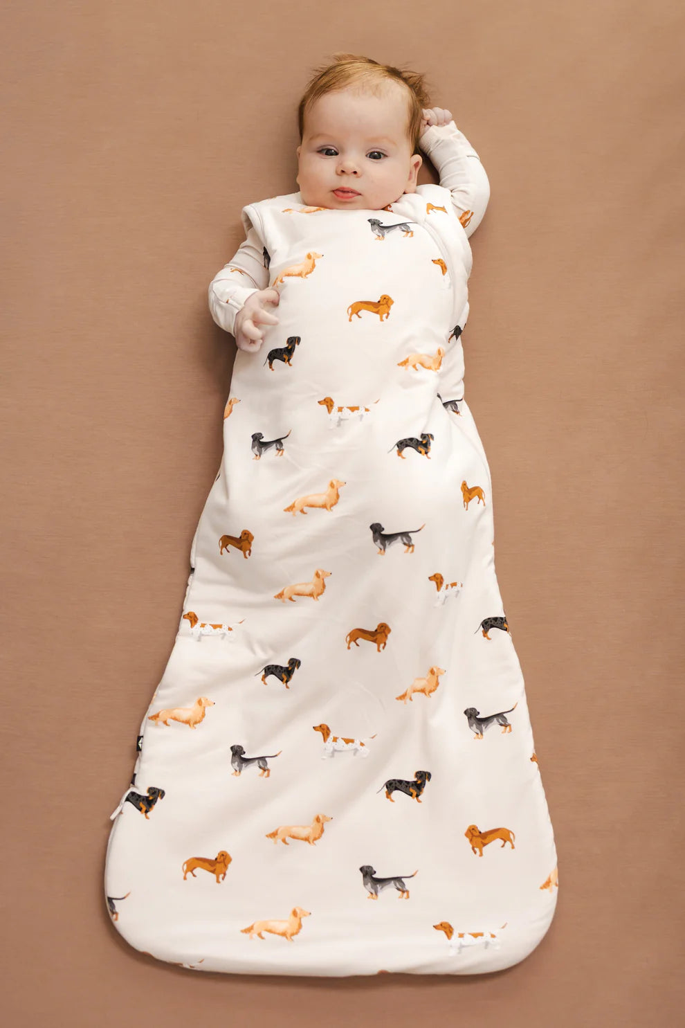 Kyte Baby Sleep Bag in Dachshund 1.0 TOG