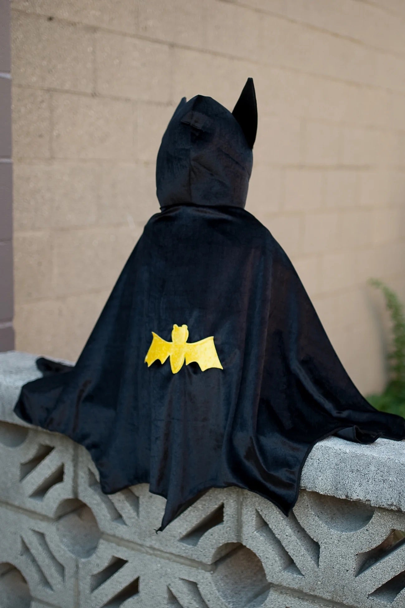 Black Bat Cape