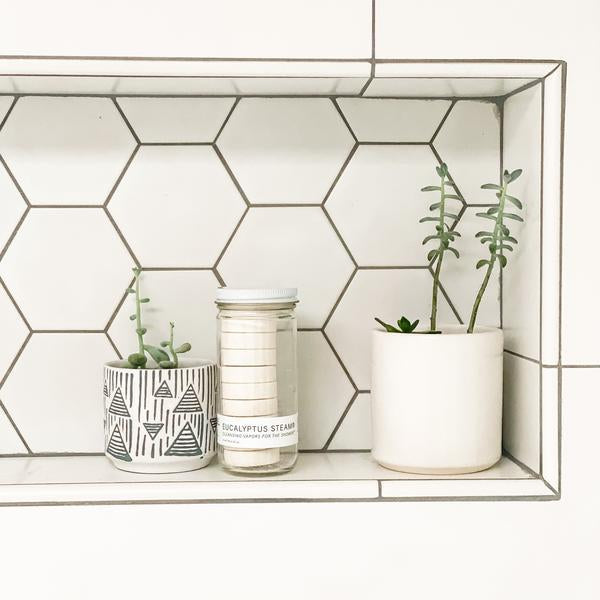 Cuiseurs à vapeur pour douche à l'eucalyptus