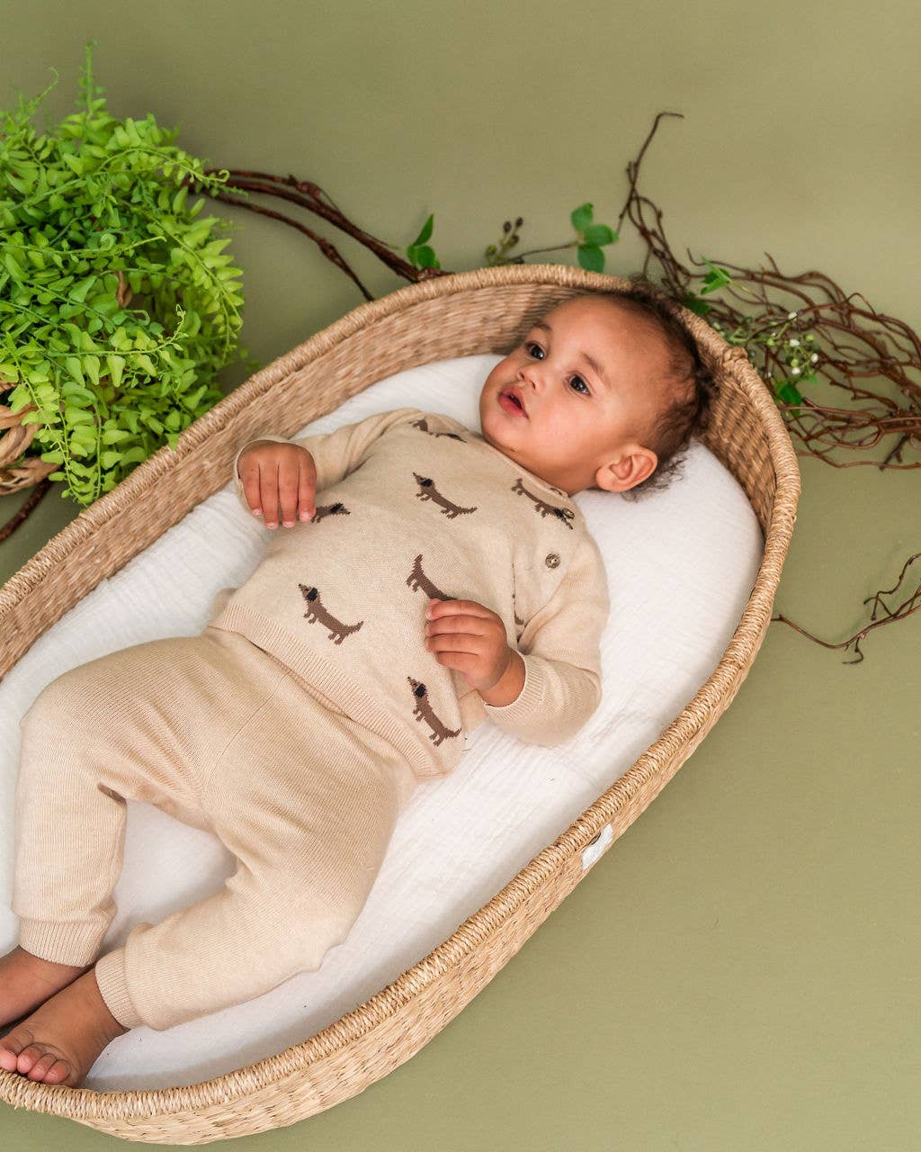 Doxie Dog Jacquard Knit Baby Raglan Pullover (Organic): Oat Heather