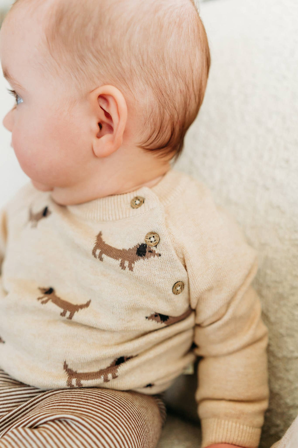 Doxie Dog Jacquard Knit Baby Raglan Pullover (Organic): Oat Heather