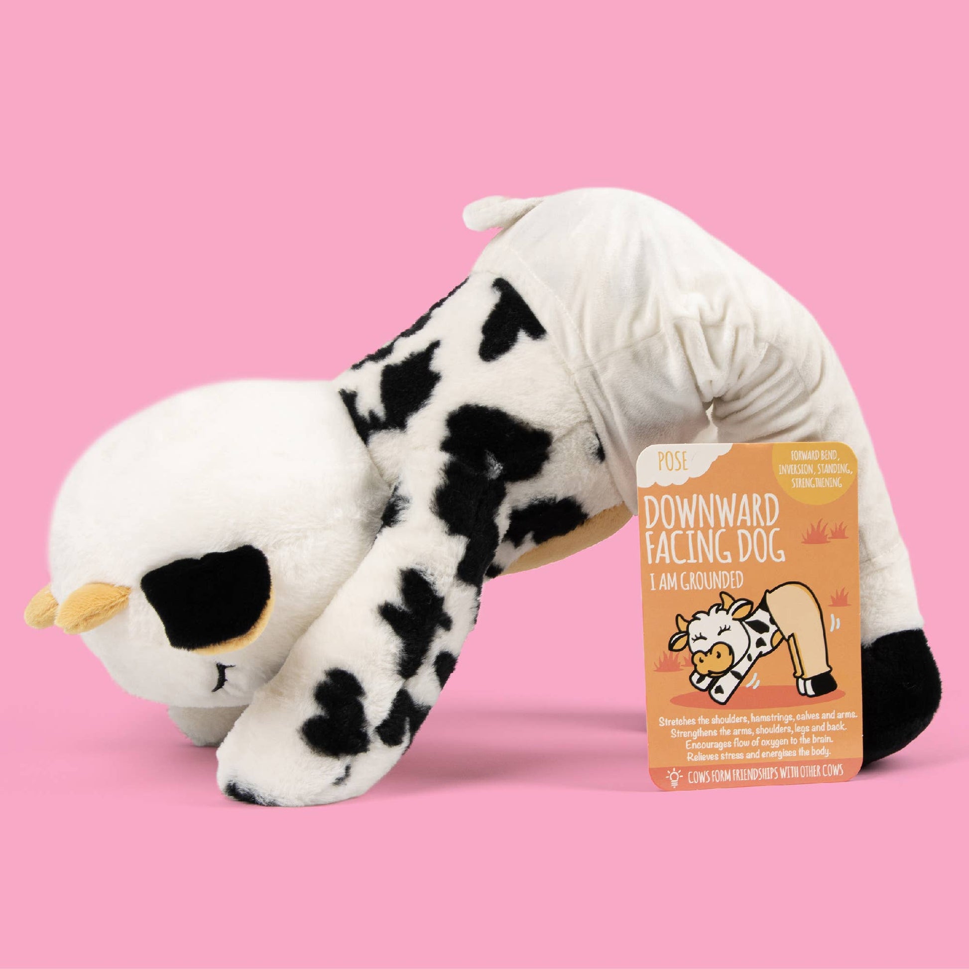 Miss Molly Myga - The Moo-Ditating Cow