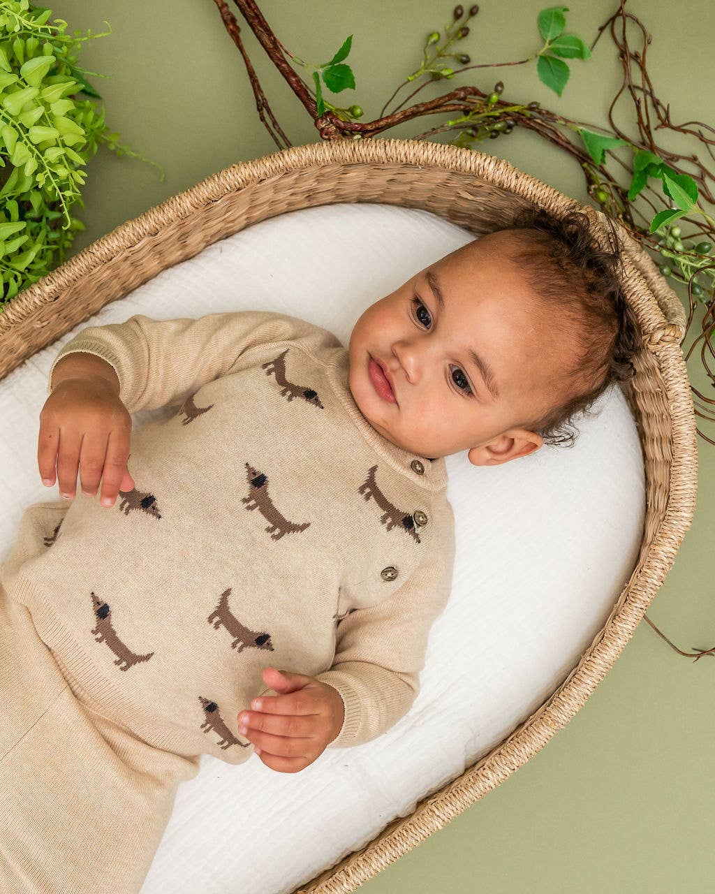 Doxie Dog Jacquard Knit Baby Raglan Pullover (Organic): Oat Heather