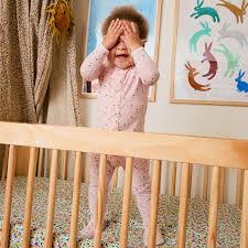 Baa Baa Pink Modal Footie