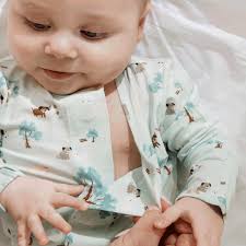 Central Bark Modal Footie