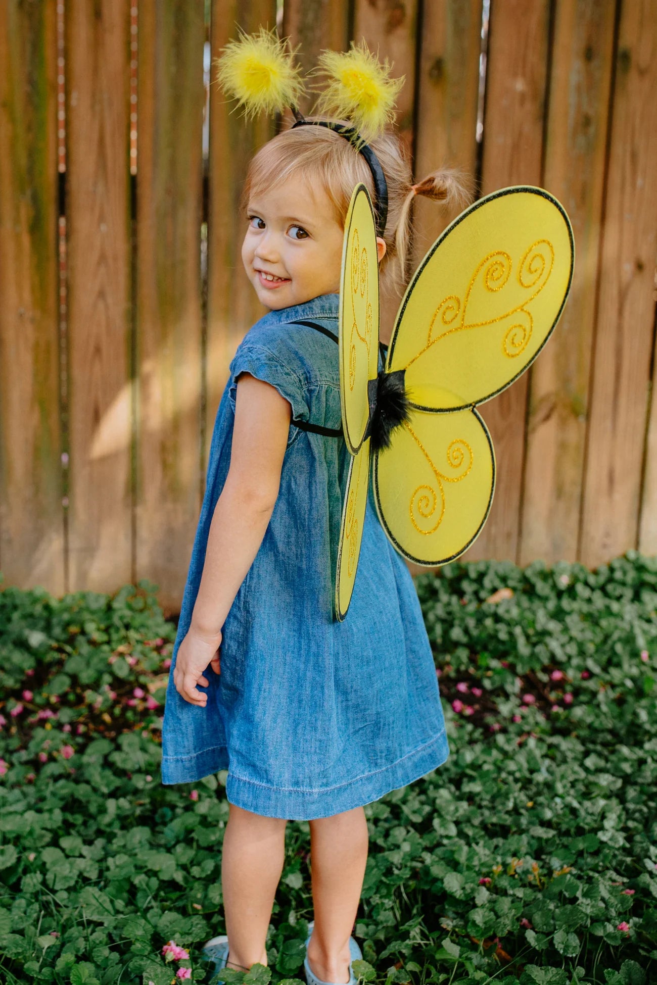 Bumble Bee Wings and Headband