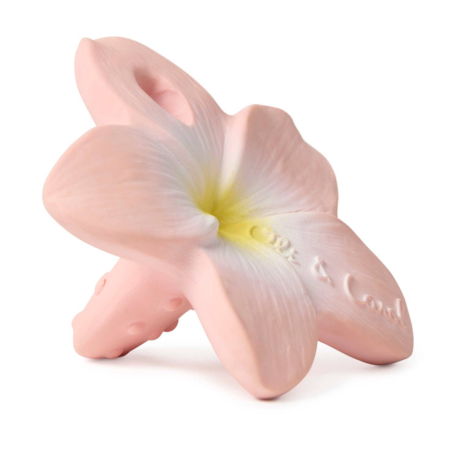 Bella the Flower