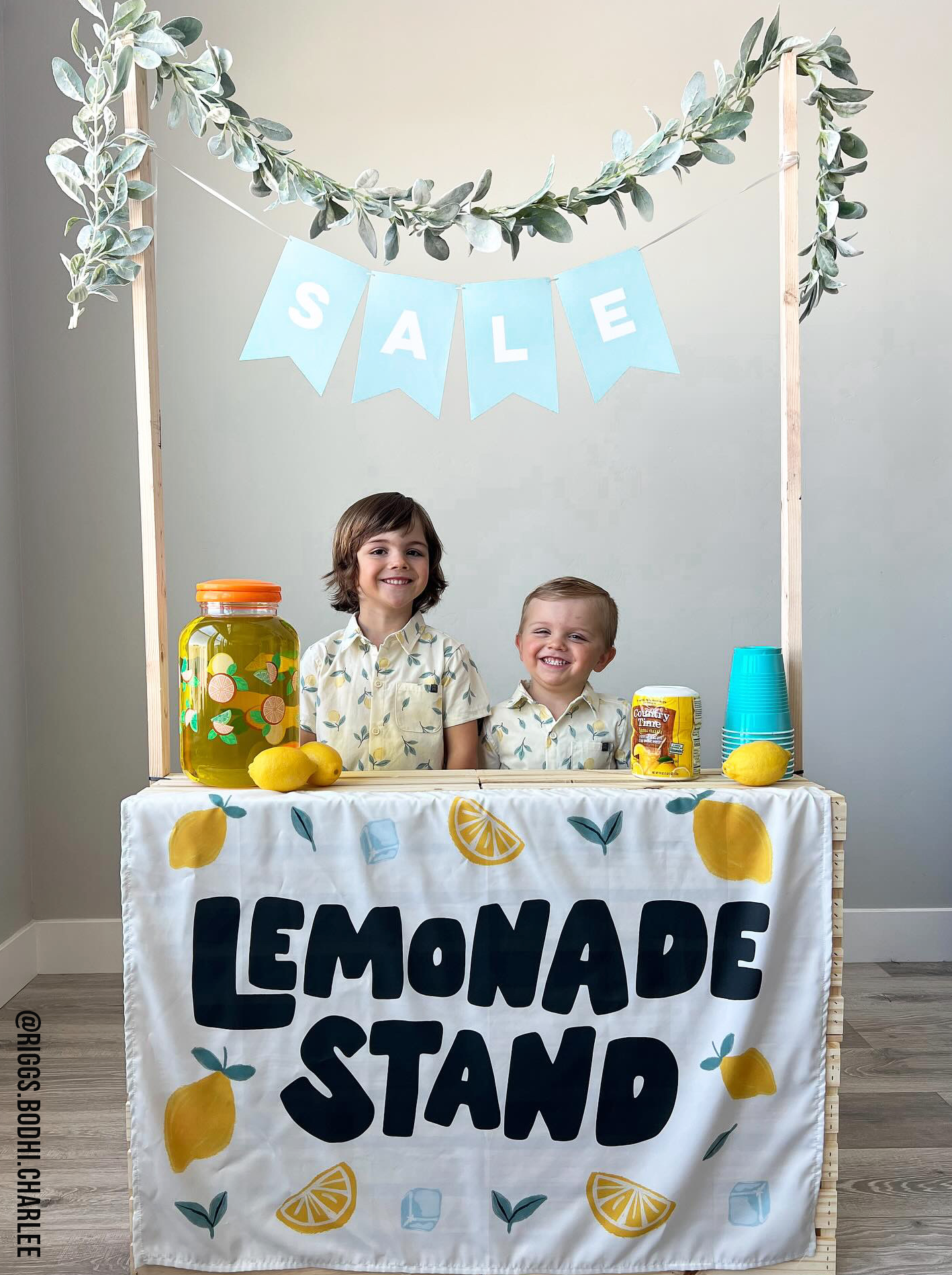 Lemonade Stand Banner - Kids Summer Pretend Play Wall Decor: Small 17x13"
