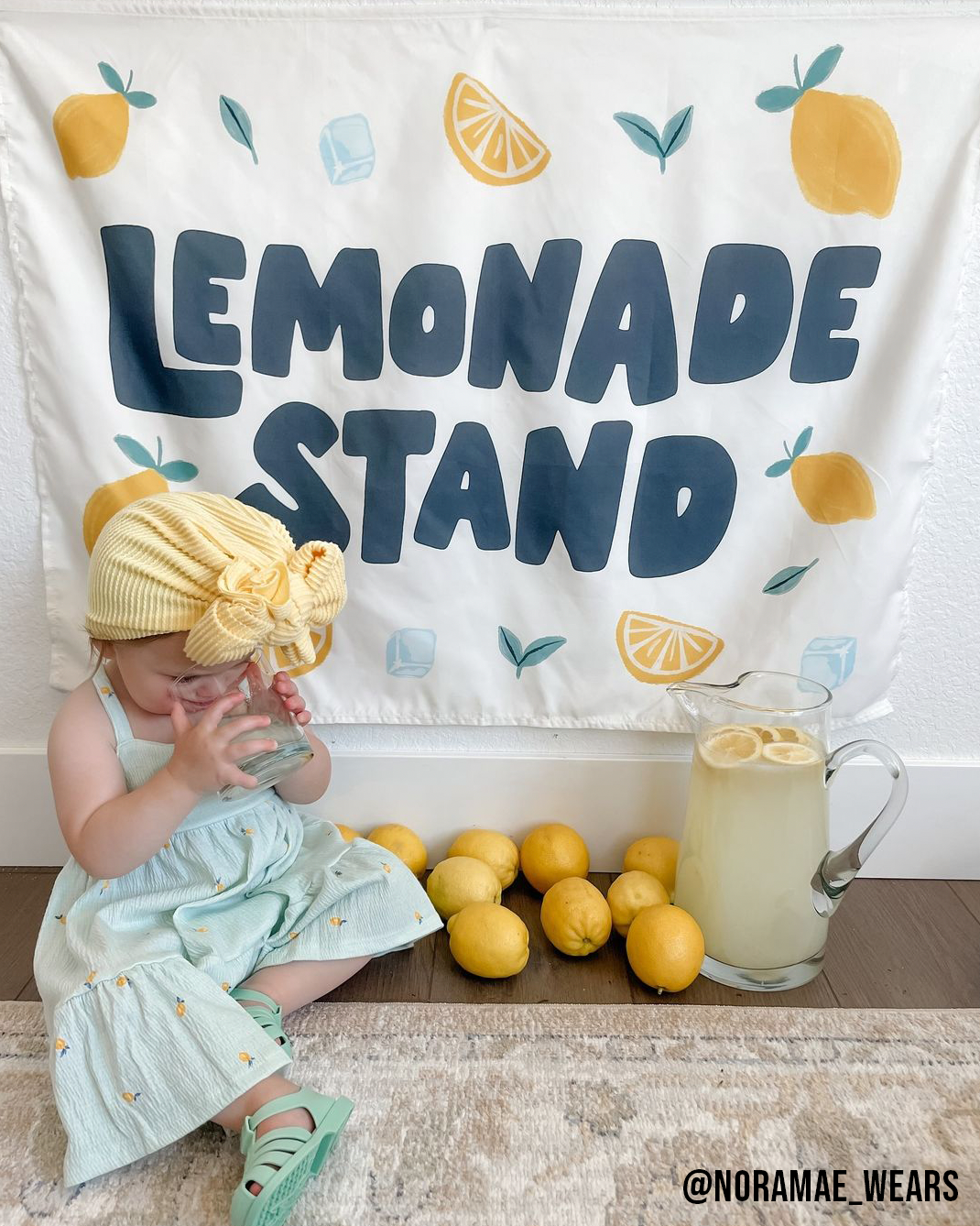 Lemonade Stand Banner - Kids Summer Pretend Play Wall Decor: Small 17x13"