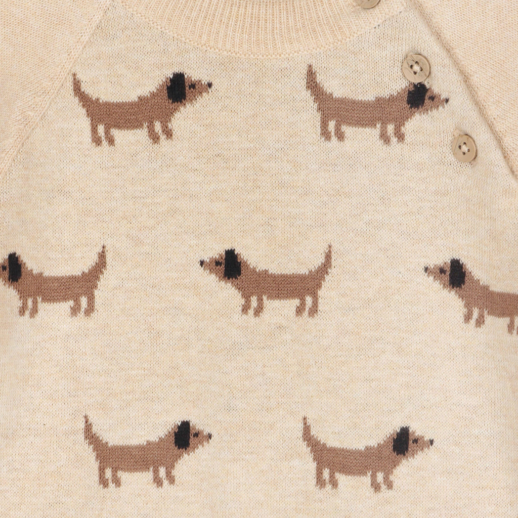 Doxie Dog Jacquard Knit Baby Raglan Pullover (Organic): Oat Heather