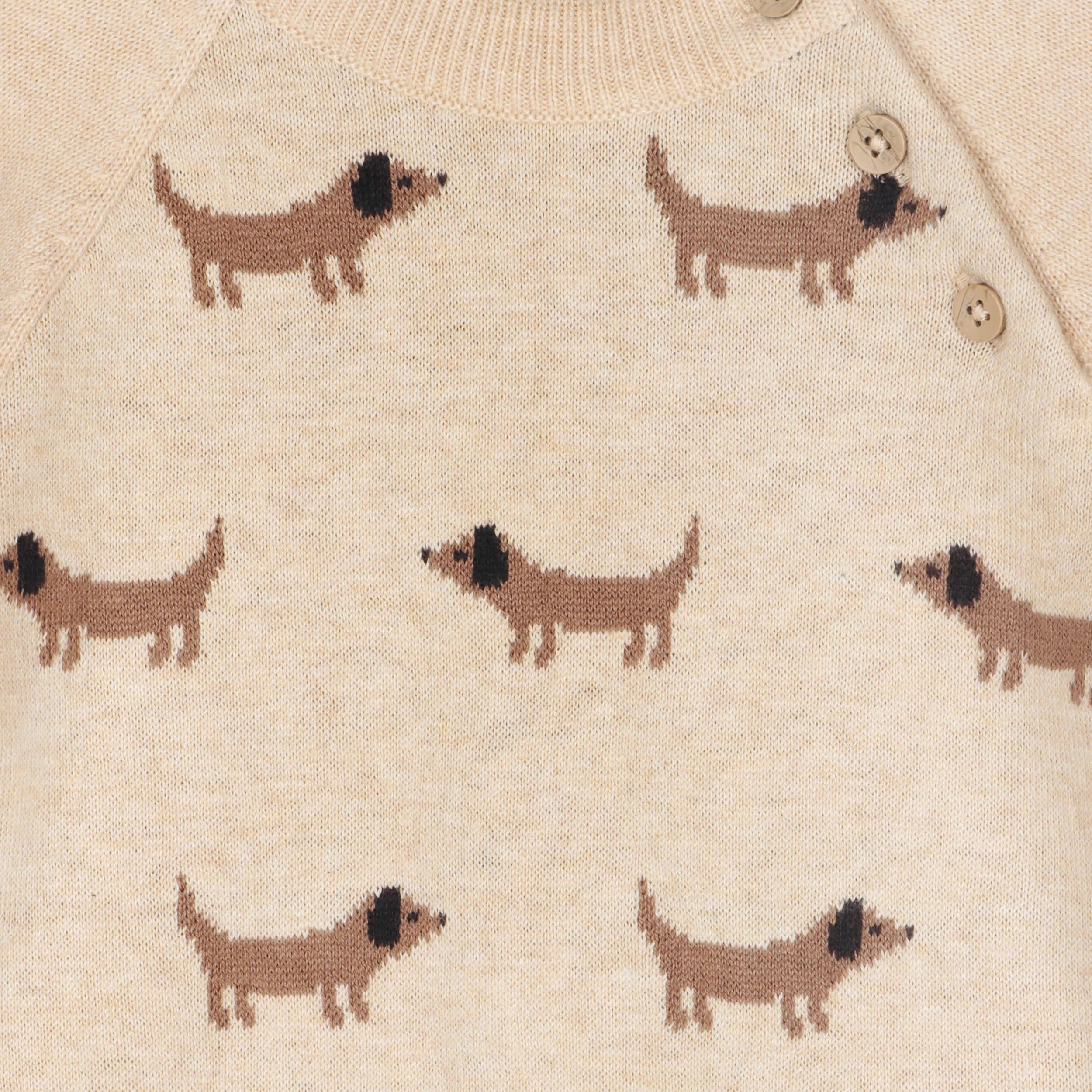 Doxie Dog Jacquard Knit Baby Raglan Pullover (Organic): Oat Heather