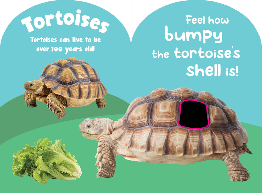 Petting Zoo Animals Touch and Feel board book