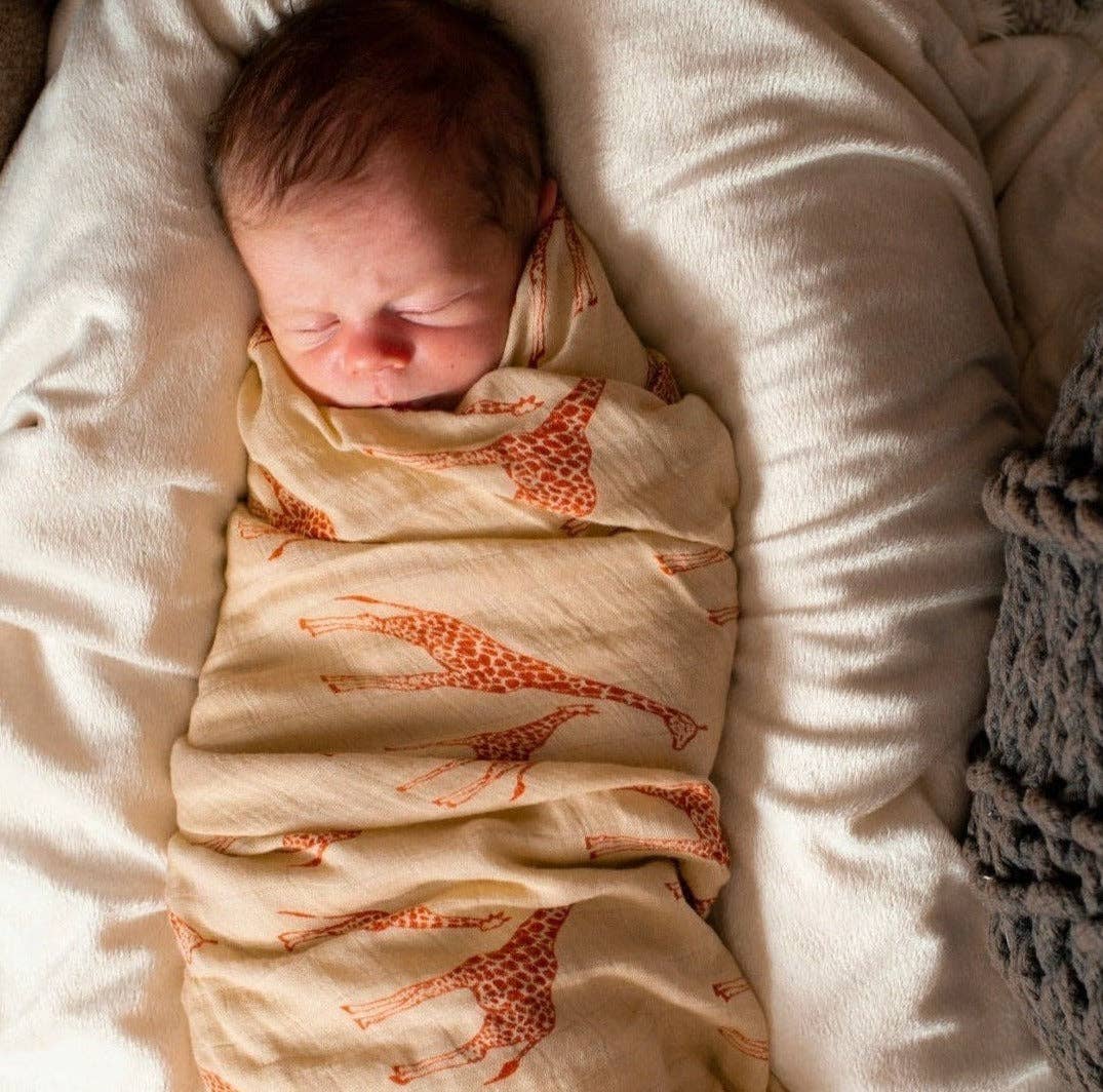 Molly Swaddle Blankets: Xo