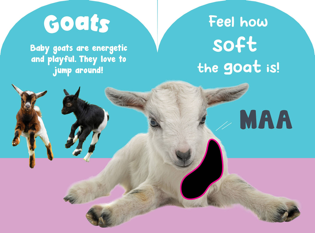 Petting Zoo Animals Touch and Feel board book