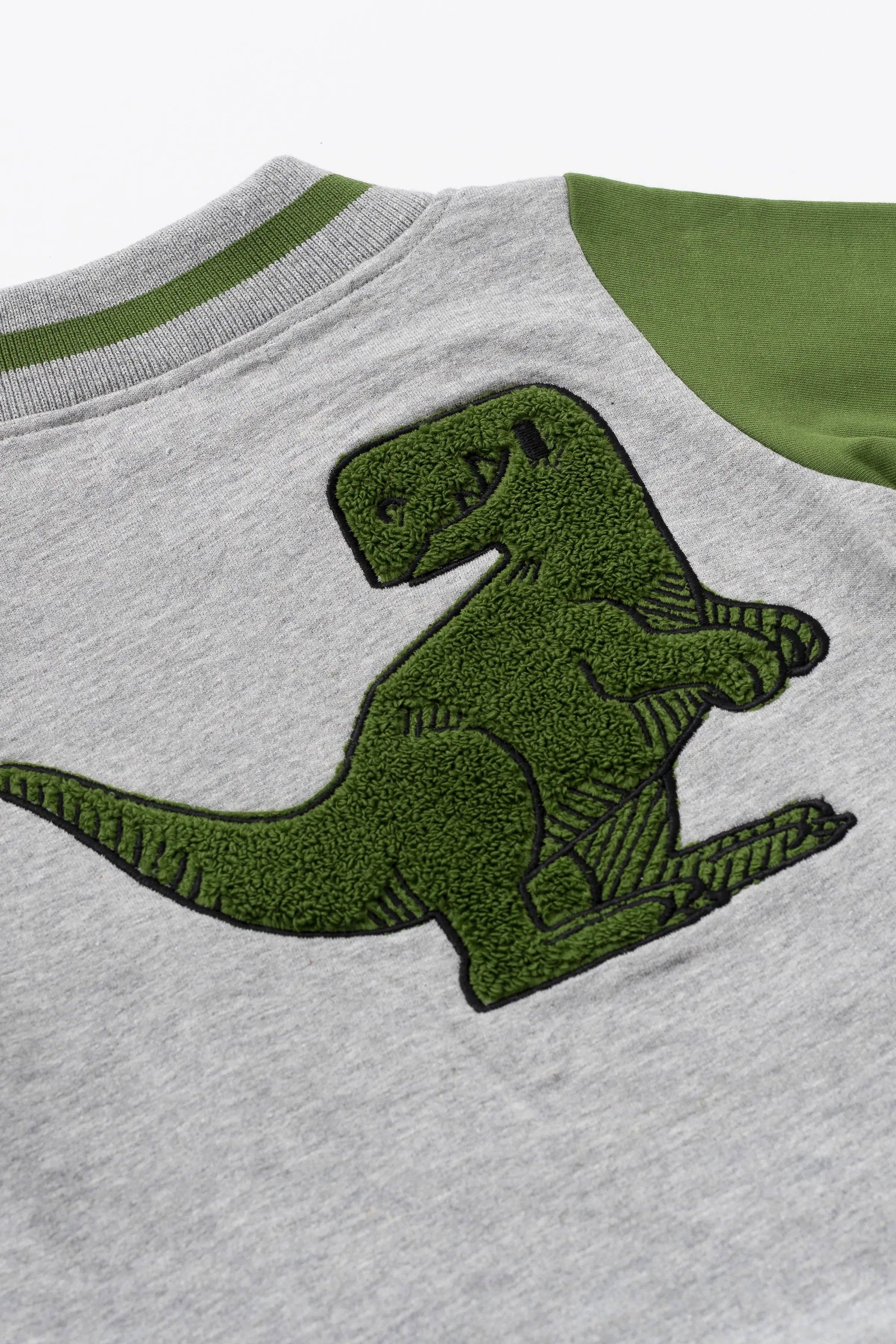 Back to School Zip Bomber Jacket_Primary Dinos: Primary Dinos