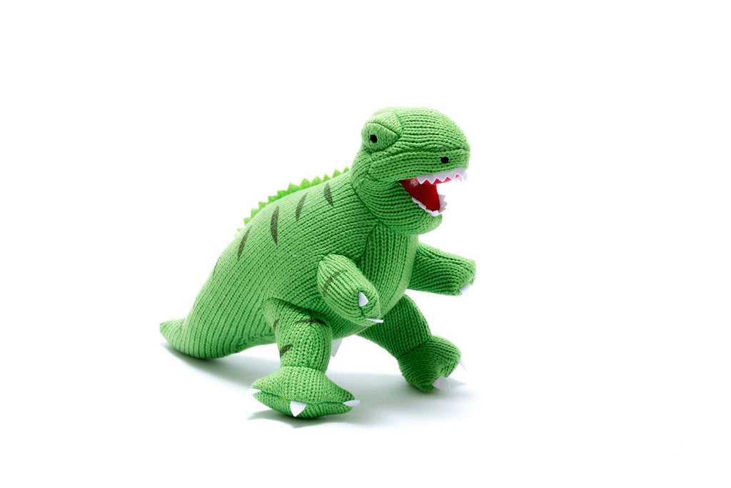 Knitted Green T Rex Dinosaur Soft Toy Teddy