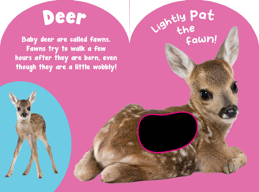 Baby Wild Animals Touch and Feel Board Book