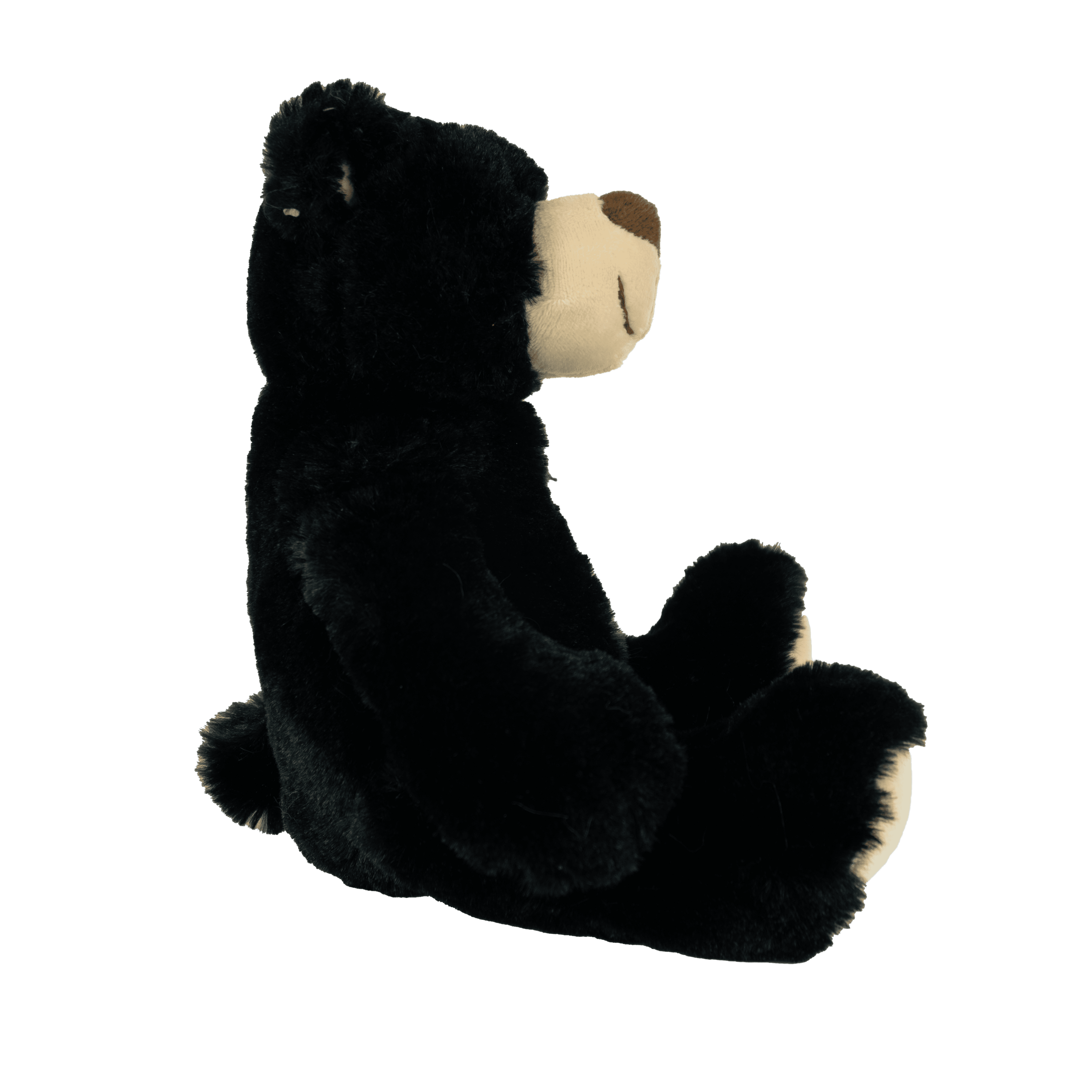 Rufus Black Bear: 11" Rufus